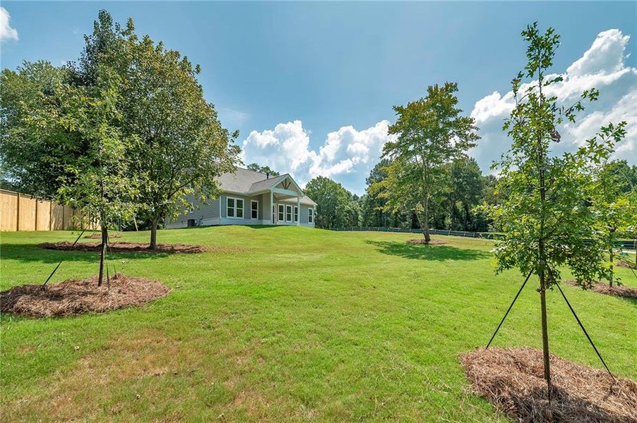 Natural landscape and outdoor views near  in Gainesville (Image 23).