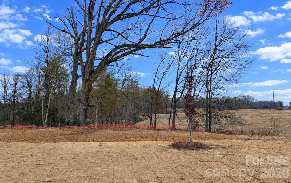 Natural landscape and outdoor views near Cedar Meadows in Monroe (Image 20).