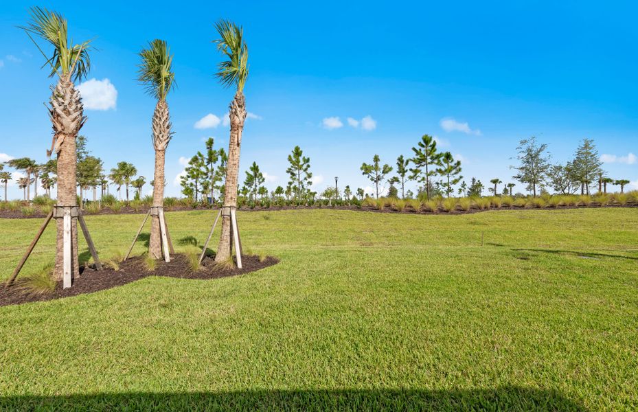 Image 27 of a home in Del Webb Catalina. Image 27 of a home in Del Webb Catalina.