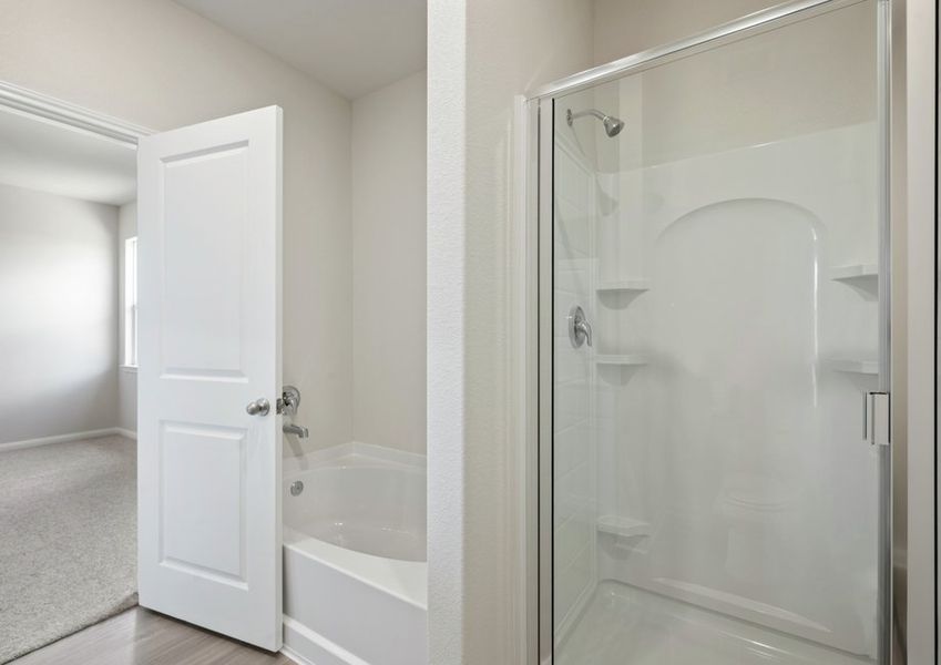 Step-in shower and tub in the master bathroom Step-in shower and tub in the master bathroom