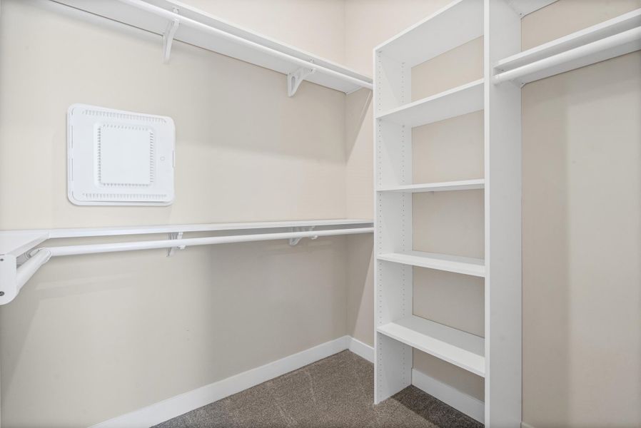 Walk-in closet with carpet flooring, light-toned wall paint, white shelving unit, and white hanging rods Walk-in closet with carpet flooring, light-toned wall paint, white shelving unit, and white hanging rods