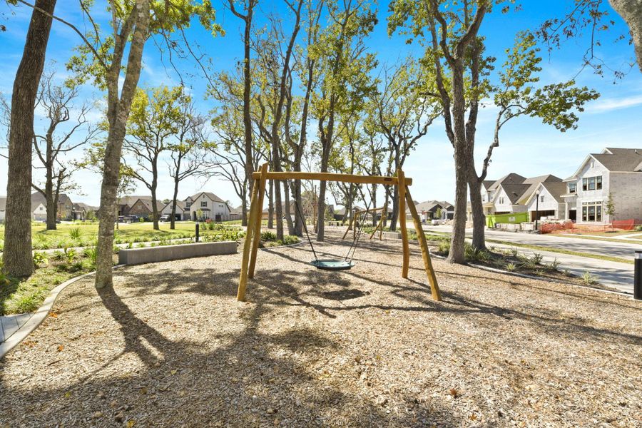 Community amenities in Riceland: 42ft. lots, Mont Belvieu (Image 37).