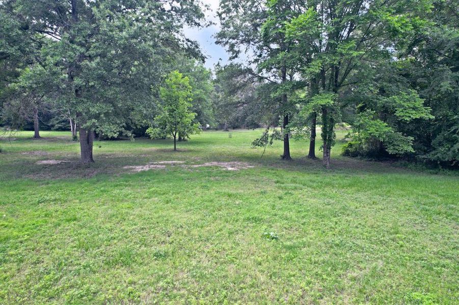 Natural landscape and outdoor views near  in Yantis (Image 29).