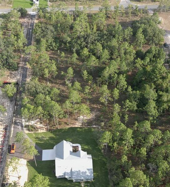 Natural landscape and outdoor views near in Weeki Wachee (Image 59). Natural landscape and outdoor views near in Weeki Wachee (Image 59).