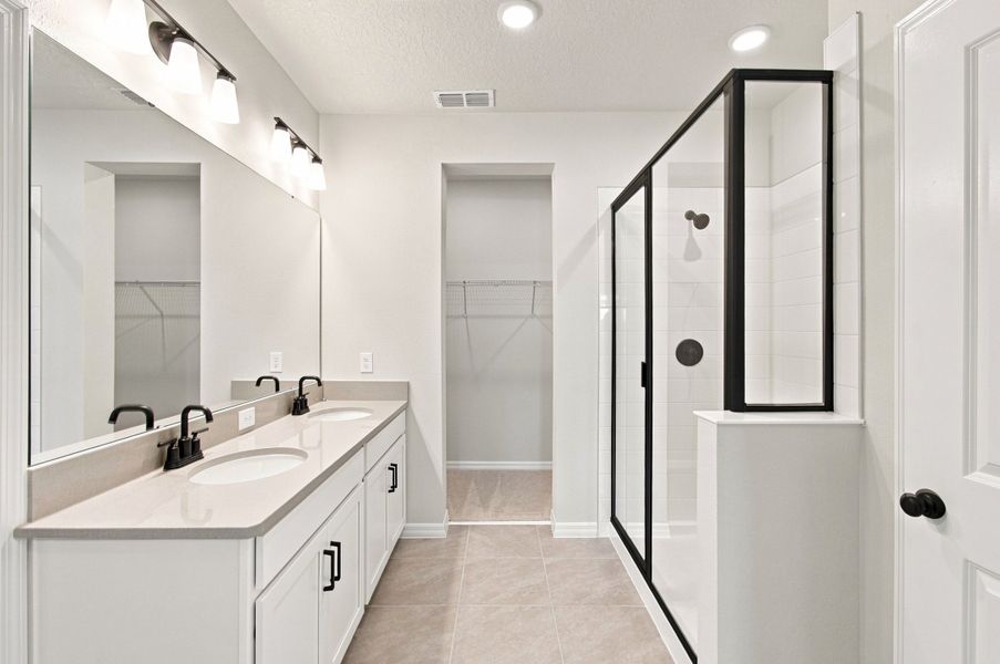 Owner's Bath