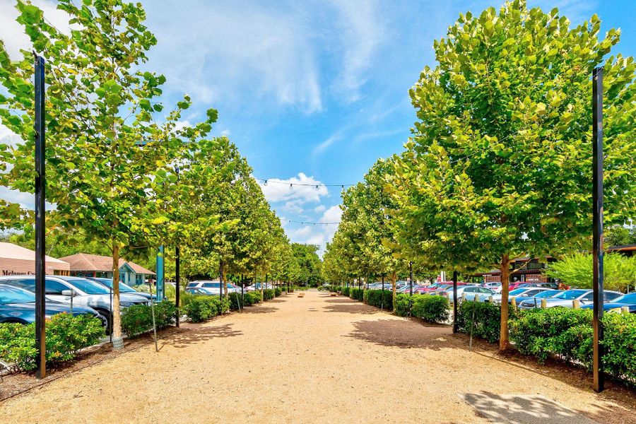 Tree lined walkways and open air shopping in the Heights round out the weekend options. Tree lined walkways and open air shopping in the Heights round out the weekend options.