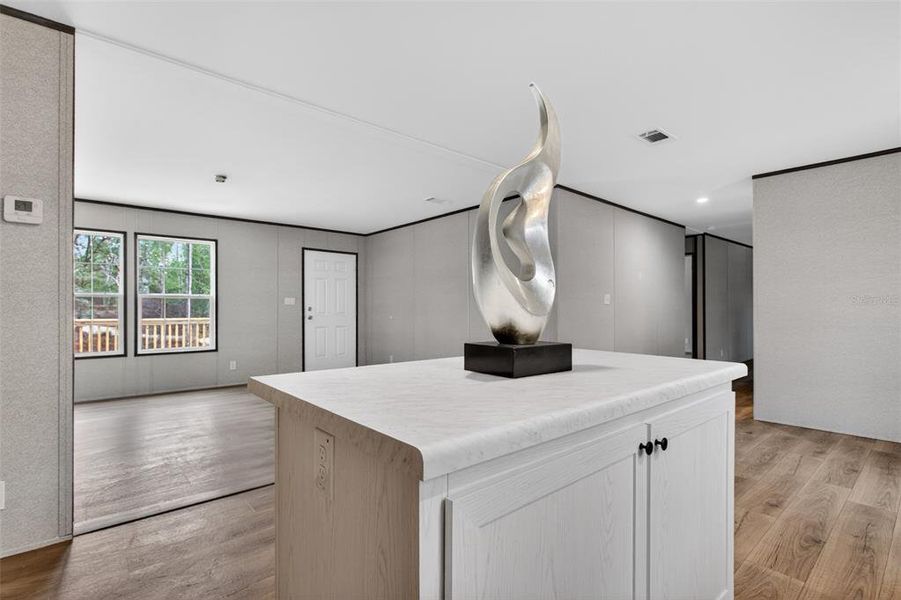 Furnished interior view inside a new home in , Interlachen (Image 3).