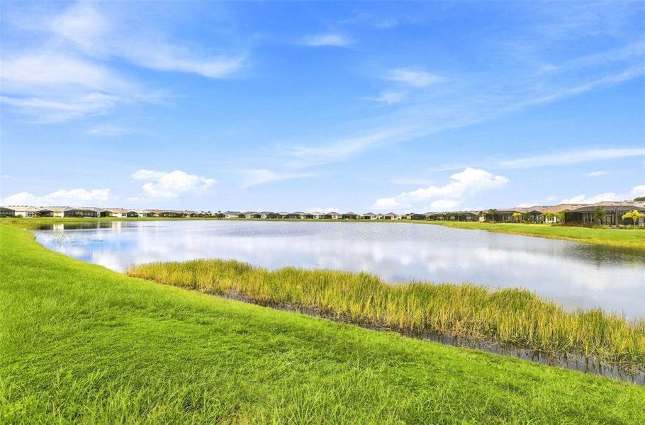 Natural landscape and outdoor views near Esplanade at Azario Lakewood Ranch in Bradenton (Image 25). Natural landscape and outdoor views near Esplanade at Azario Lakewood Ranch in Bradenton (Image 25).