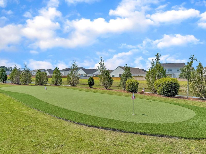 Natural landscape and outdoor views near  in Summerville (Image 46).