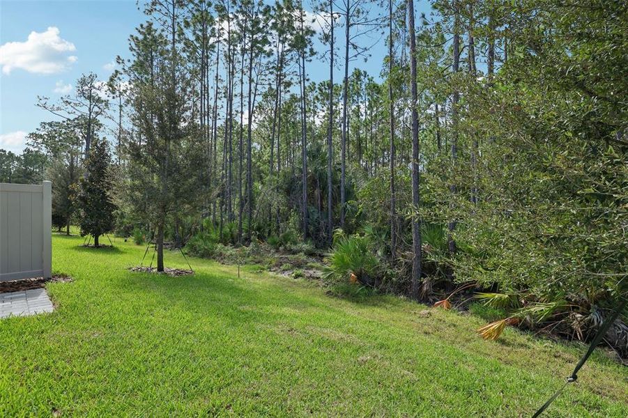 Natural landscape and outdoor views near Bradford Park in Ormond Beach (Image 33).