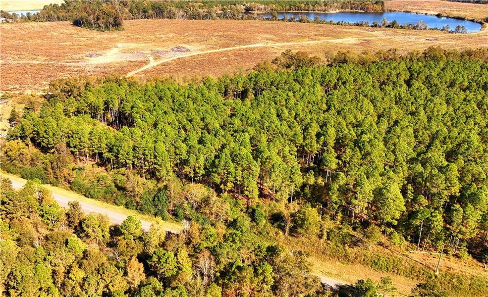 Natural landscape and outdoor views near  in Chester (Image 29).