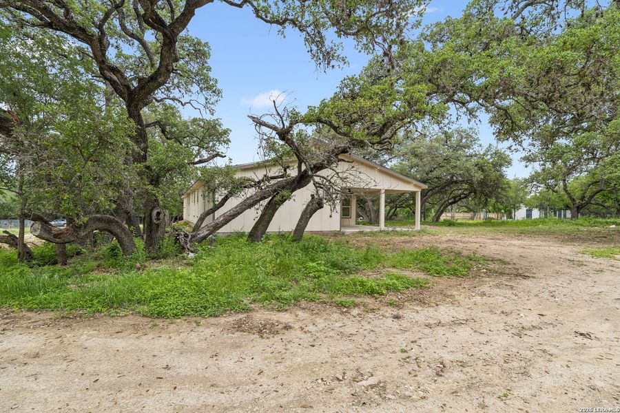 Natural landscape and outdoor views near  in San Antonio (Image 27).