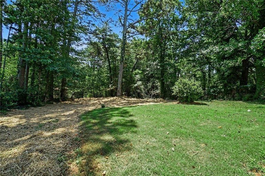 Natural landscape and outdoor views near  in Gainesville (Image 28).