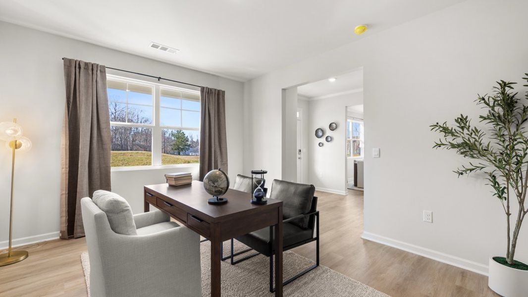 Representative furnished interior of a home built from the Elbert ll by D.R. Horton in Braselton Village, Braselton (Image 7).