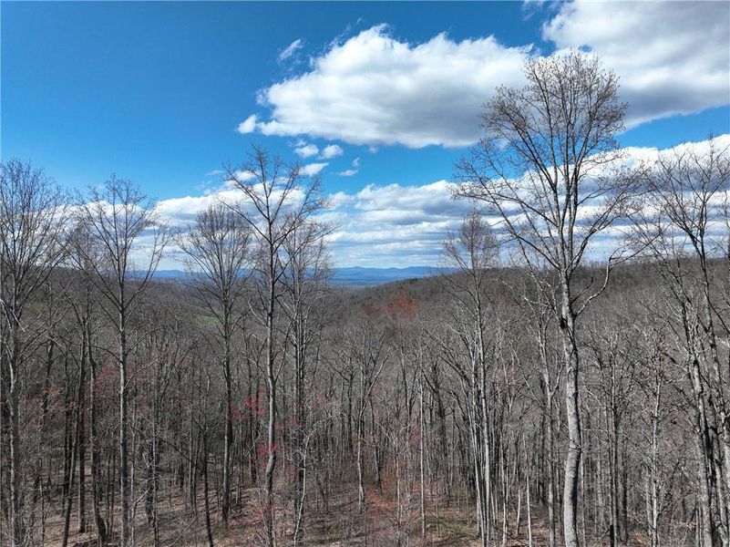 Image 19 of a home in .