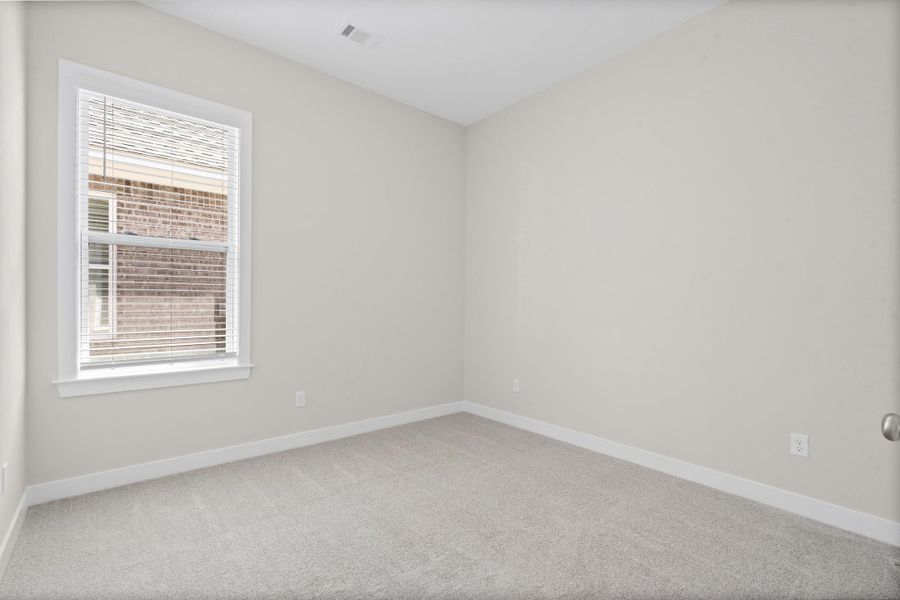 Light gray wall paint, white window trim, and plush carpet flooring