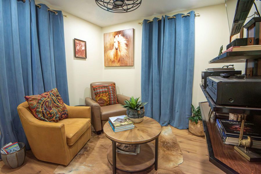 Guest bedroom currently used as a media room