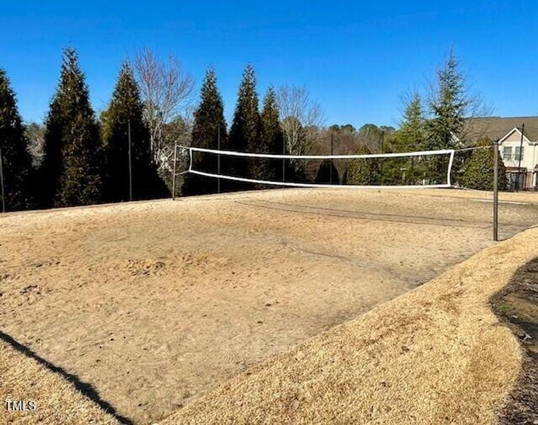 Volleyball Court