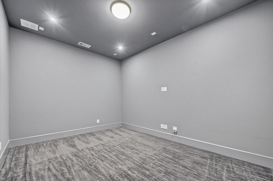 Entertainment Room
