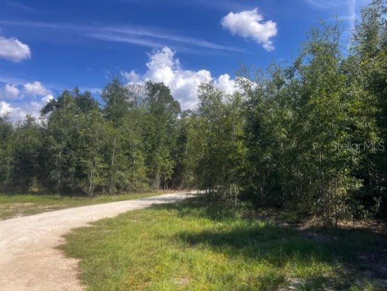 Natural landscape and outdoor views near in Bell (Image 13). Natural landscape and outdoor views near in Bell (Image 13).