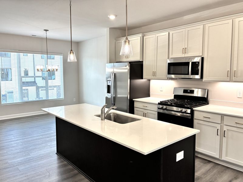 Furnished interior view inside a new home in Holly View, Greenville (Image 6).