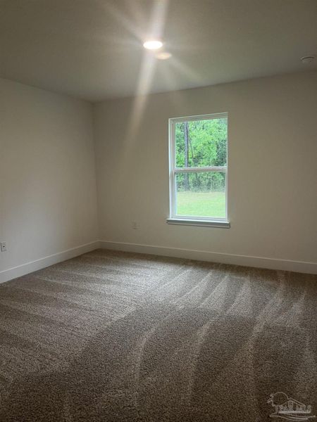 Spacious, unfurnished interior of a new home in Blossom Grove, Milton (Image 13).