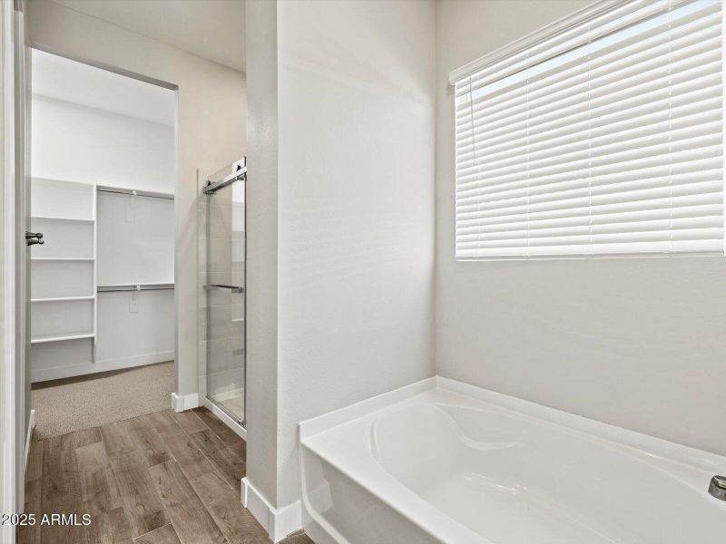 Primary Bathroom View 1 Primary Bathroom View 1