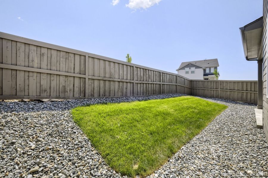 8003 Manor - Backyard