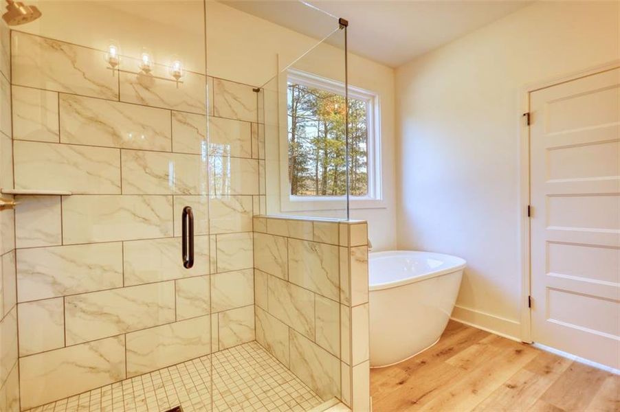 Furnished interior view inside a new home in , Mansfield (Image 15). Furnished interior view inside a new home in , Mansfield (Image 15).