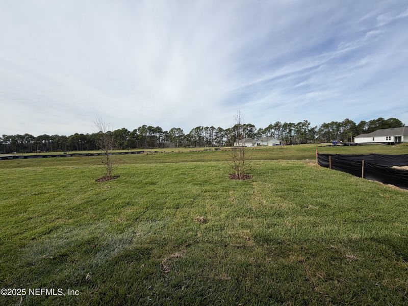 Natural landscape and outdoor views near  in Flagler Beach (Image 47).