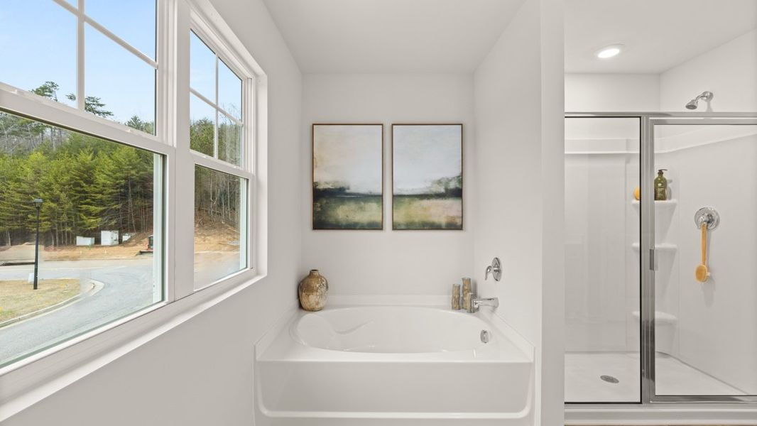 Representative furnished interior of a home built from the Sudbury 24' Townhome by D.R. Horton in Mountain Park, Dahlonega (Image 17).