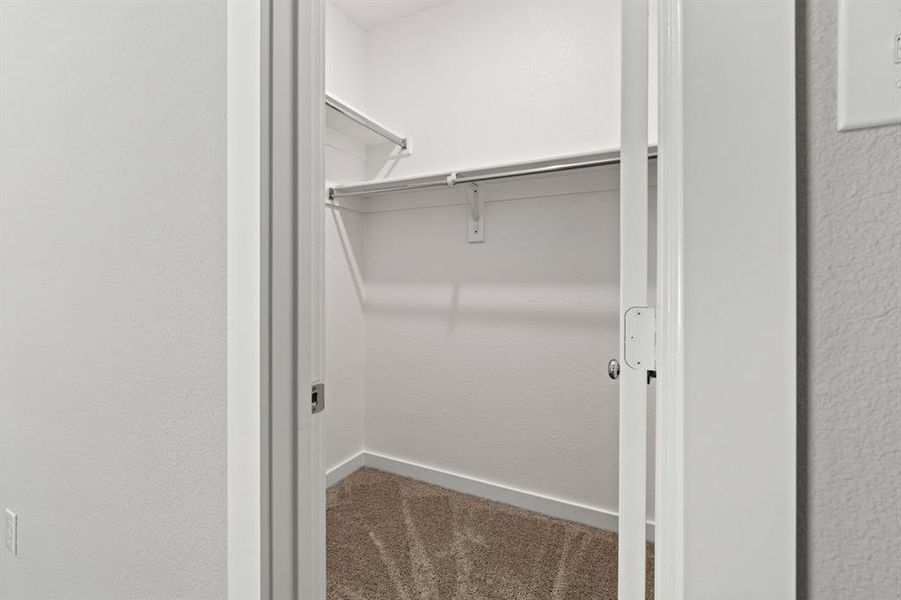 Spacious closet with carpet flooring