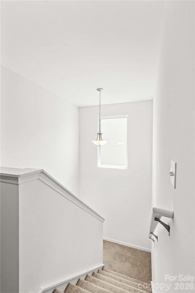 Spacious, unfurnished interior of a new home in , Salisbury (Image 20).