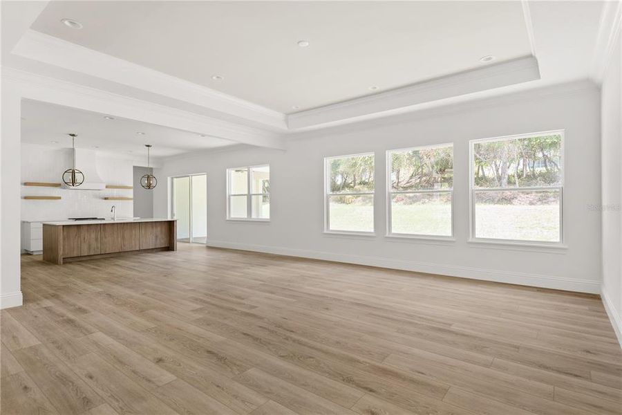 Open-concept living space showcasing the spacious great room with a tray ceiling, large windows providing natural light, and a seamless transition to the kitchen area.