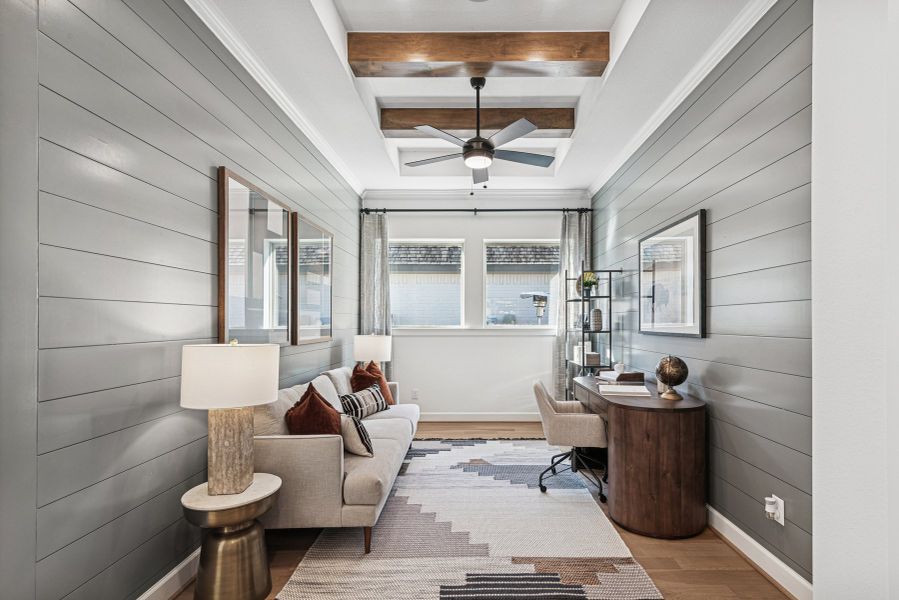 The Pinto - Study The Pinto - Study