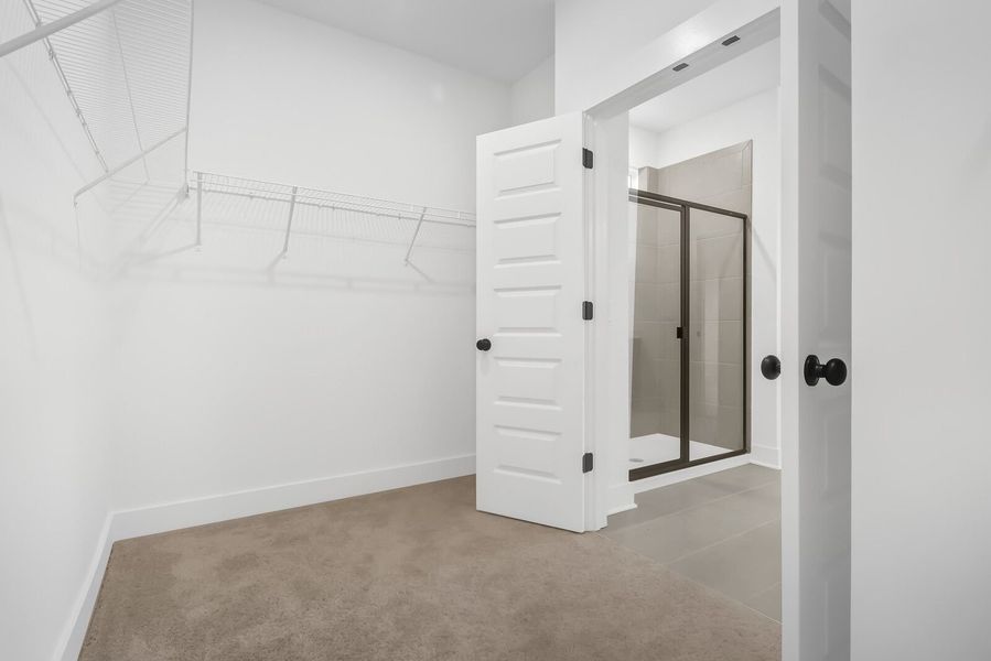 Representative unfurnished interior of a home built from the The Ridgeport by Davidson Homes LLC in Calista Farms, White House (Image 29). Representative unfurnished interior of a home built from the The Ridgeport by Davidson Homes LLC in Calista Farms, White House (Image 29).