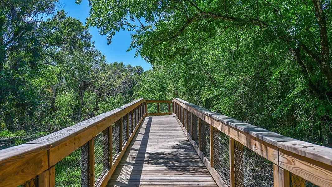 Natural landscape and outdoor views near Skye Ranch Community Group Page in Sarasota (Image 76).
