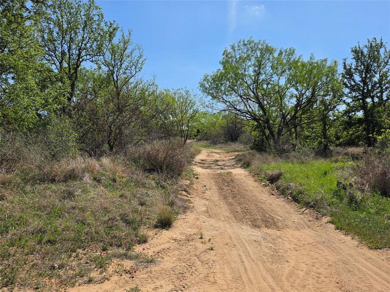 Natural landscape and outdoor views near  in San Saba (Image 13).