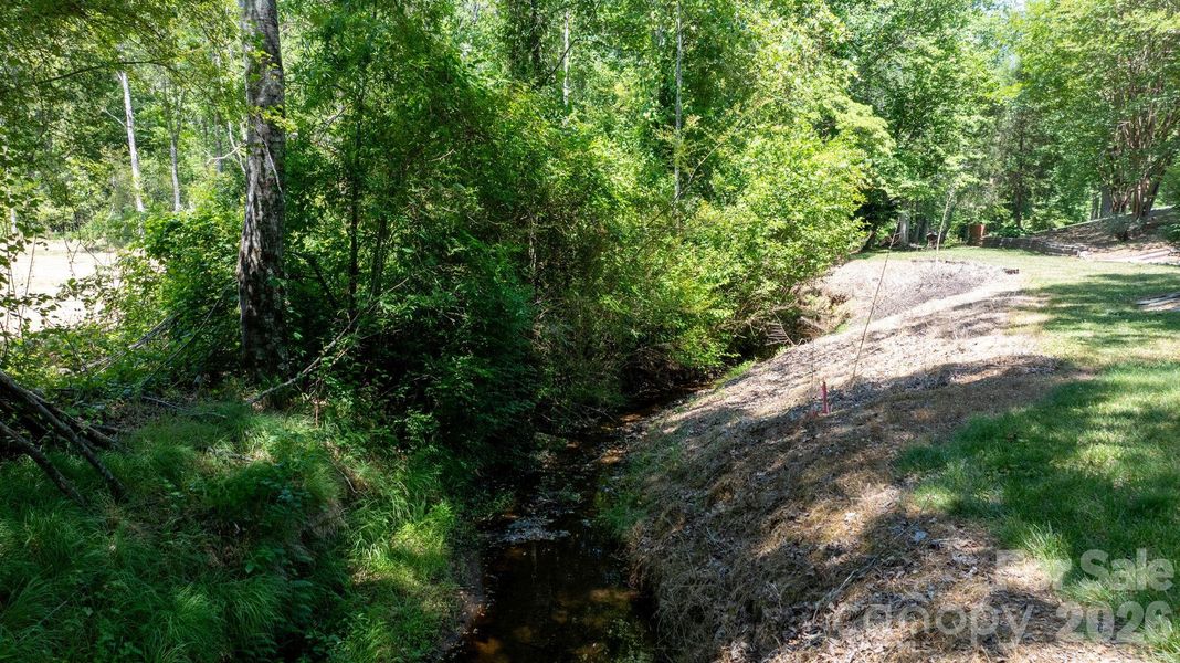 Natural landscape and outdoor views near  in Taylorsville (Image 34).