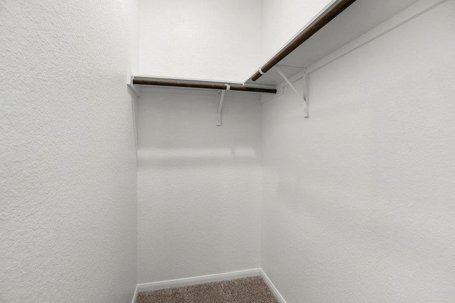 Spacious closet featuring carpet floors