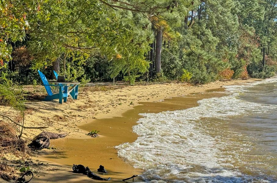 Natural landscape and outdoor views near  in Bonneau (Image 37).