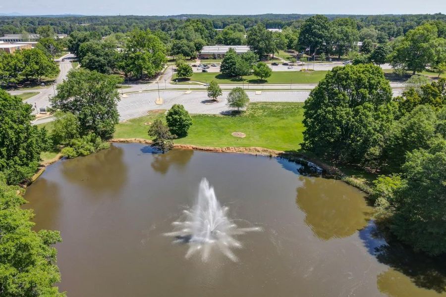 Natural landscape and outdoor views near Hemingway in Flowery Branch (Image 38).
