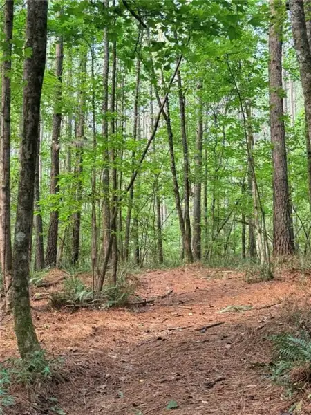 Natural landscape and outdoor views near in Talking Rock (Image 10). Natural landscape and outdoor views near in Talking Rock (Image 10).