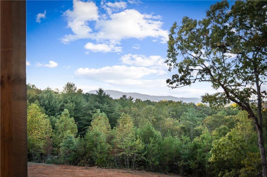 Natural landscape and outdoor views near  in Blue Ridge (Image 26).