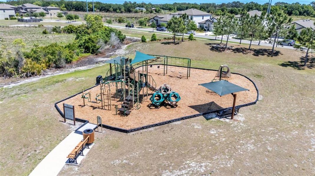 Community amenities in Hawkstone, Lithia (Image 63).