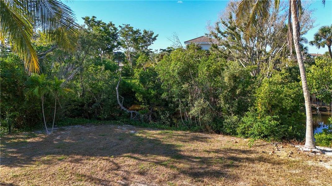 Natural landscape and outdoor views near  in Sarasota (Image 7).