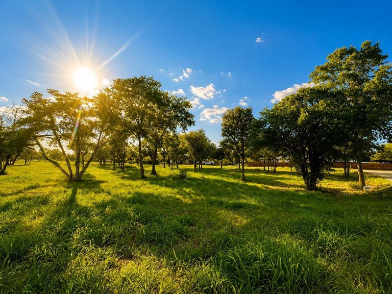 Natural landscape and outdoor views near  in Mexia (Image 27).