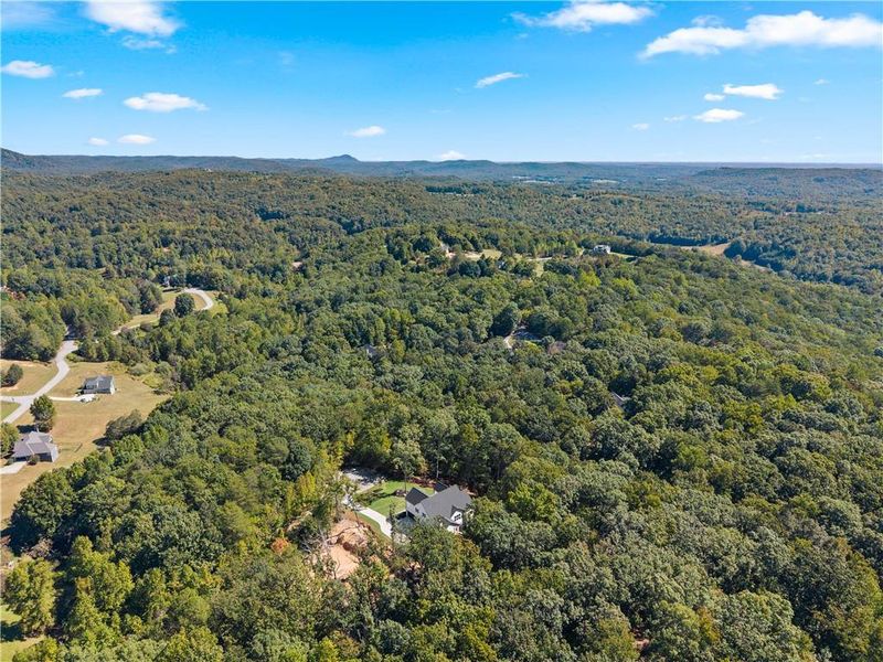 Natural landscape and outdoor views near  in Baldwin (Image 72).