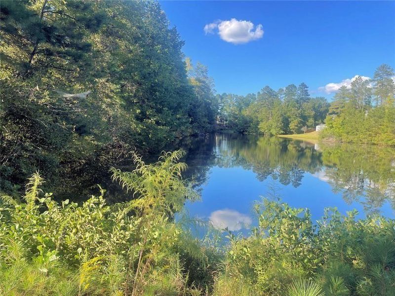 Natural landscape and outdoor views near Bryson Lake in Douglasville (Image 40).