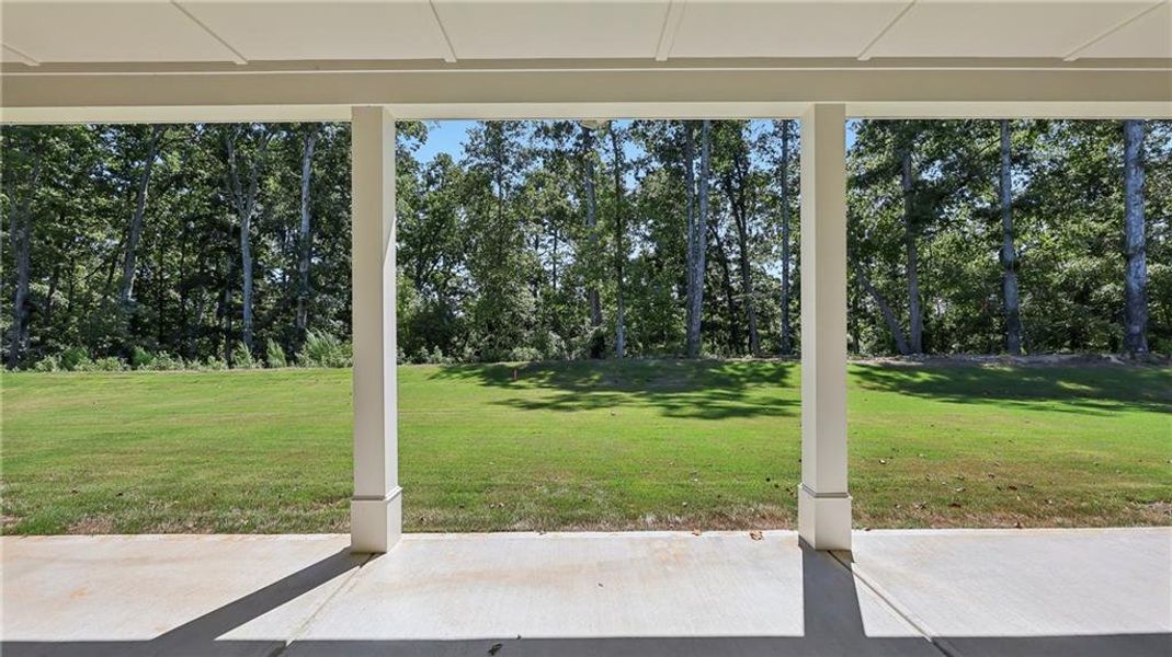 Exterior details and patio area of a home in Cresswind Georgia at Twin Lakes, Hoschton (Image 3).